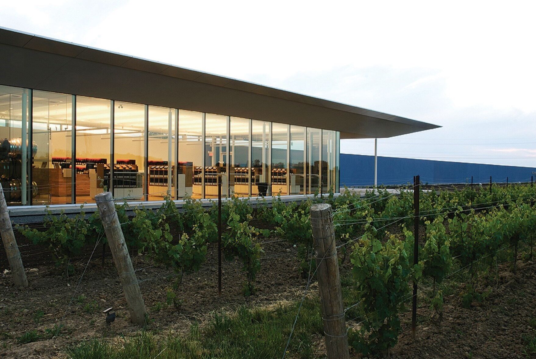 Southbrook - Southbrook Vineyards.jpg